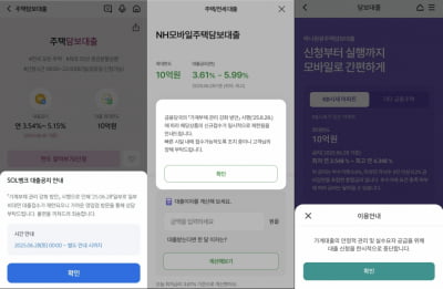 [단독] 모든 은행, 주담대·신용대출 비대면 접수 중단했다