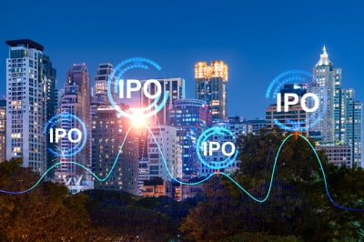 "7월 IPO 규제 강화 피하자"…증권신고서 제출 ‘러시’