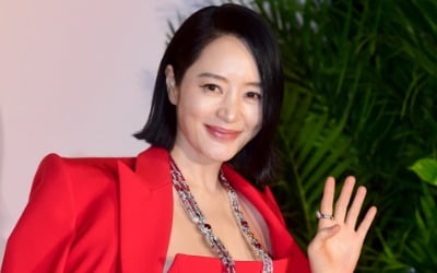 김혜수, BTS 살았던 '한남동 80억 빌라' 샀다…전액 현금 매수
