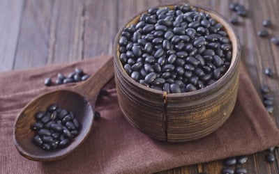 검은콩, 탈모에 좋은 음식인 줄 알았는데…놀라운 결과 나왔다