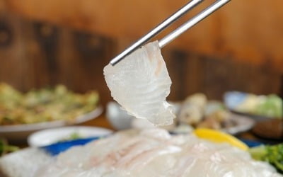 '이 가격 진짜야?'…광어·우럭 먹다가 '화들짝'