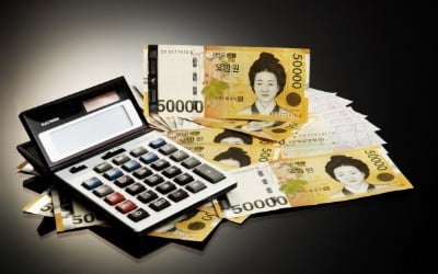 '100만원' 세금 미룰 수 있다고?…숨겨진 방법이 '대박'