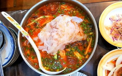 돈 있어도 못 사 먹었는데 드디어…'오징어 물회'가 돌아왔다