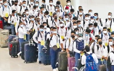 외국인 계절근로자 9만명 넘었다…하반기 2만2000명 추가 배정