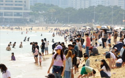 “벌써 여름이다”