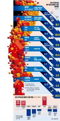 가격·품질 다 잡은 레드테크…韓 투톱 산업, 이미 中이 삼켰다