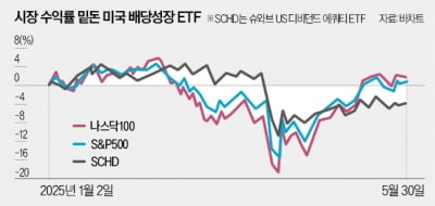 美증시 살아나는데…'배당 ETF 개미' 눈물