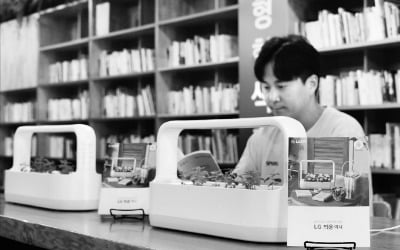 ‘LG 틔운 미니’로 도서관을 싱그럽게