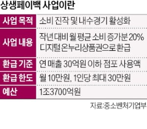 카드 사용액 증가분 일부 환급…'상생페이백' 챙겨요