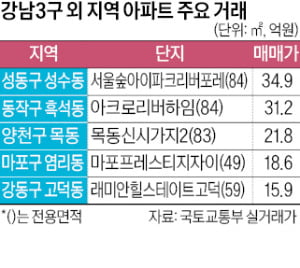 강남 아니어도 3.3㎡ 1억원…성동·마포 '최고가'