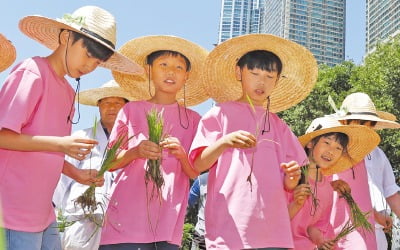 꼬마농부 모내기