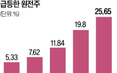 26조원 체코원전 최종 계약에 원전株 날았다