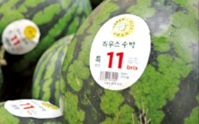 수박 7·8월에 즐겨 먹었는데…알고보니 '놀라운 반전' 있었네