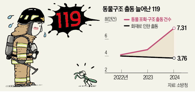 "오리 가족이 익사한다"…황당 신고에 협박까지 '골머리'