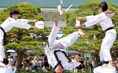 청와대서 보는 태권도 시범…이번이 마지막일까
