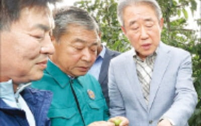 강호동 농협회장, 밀양 우박 피해 점검