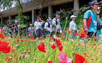 월드컵천서 축제 즐기는 시민들