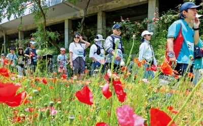 월드컵천서 축제 즐기는 시민들