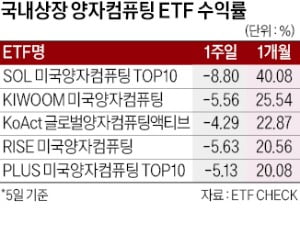 상용화 시점 앞당겨지나…'양자컴 ETF' 후끈