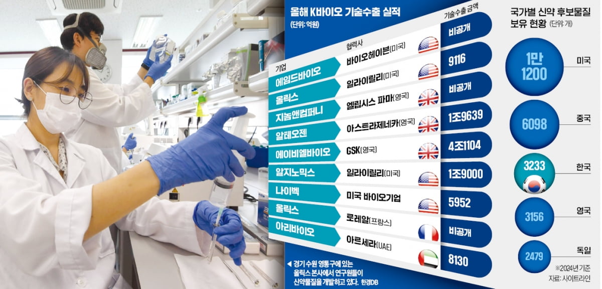 '토토사이트 주인공 잡자'…돈 보따리 싸들고 줄줄이 '방한'    
