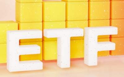 1년 반만에 순자산 5배…채권혼합 ETF '폭풍성장'