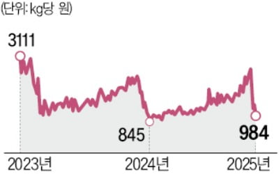 감자 1㎏당 984원 '연중 최저'