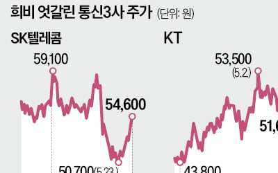 다른 통신사 뛸 때 힘 못쓴 SKT…"저점매수 나설 만"