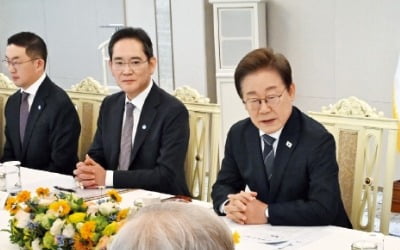 李 "경제 핵심은 기업…과감하게 규제 정리"