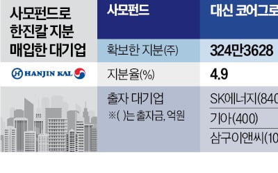 대기업 참여 '한진칼 펀드' 조원태 우군 되나