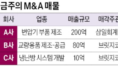 매출 200억 변압기 부품회사 매물로