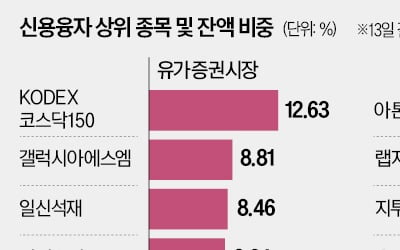일신석재·삼성공조…'빚투 비율' 높은 테마주 주의보