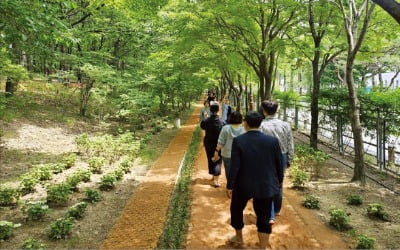 "맨발로 황톳길 걸으세요"…대전 한밭수목원 인기