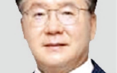 디스플레이산업協 상근부회장 이승우