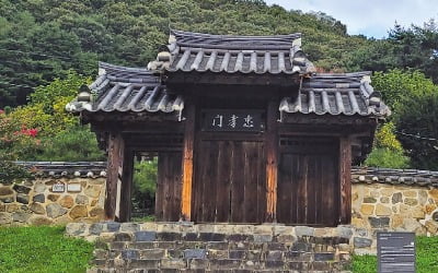 대전 무수천하마을, 천혜향 수확…된장·두부 등 전통장류 체험