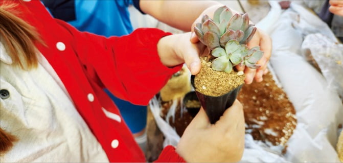 경남 사천 우천바리안 마을에서 어린이들이 천연수세미로 토피어리를 만들고 있다. /사천시 제공
