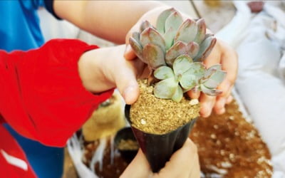 사천 우천바리안마을, 천연수세미로 '나만의 장식'