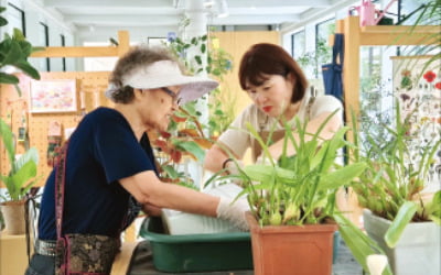 "아픈 식물 치료해드려요"…서울 식물클리닉 5곳 확대