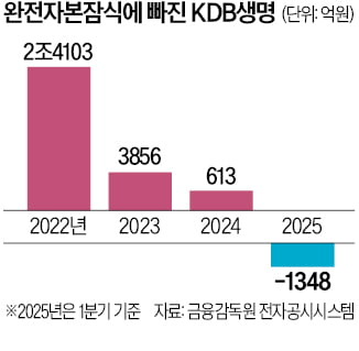 [단독] 산업은행, '자본잠식' KDB생명 1조 증자 추진
