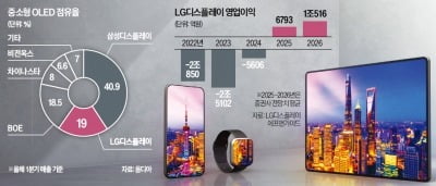 中서 LCD 털어낸 LG…韓서 '하이엔드 OLED' 올인