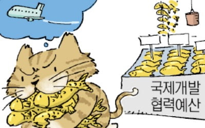 "생선 맡긴 꼴"…예산 빼돌린 공무원, 돈 어디에 썼나 봤더니