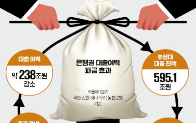 [단독] 주담대 위험가중치 대폭 높여…은행 대출여력 200조 이상 줄 듯
