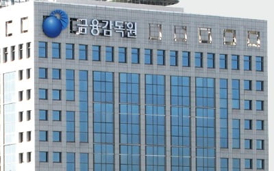"감독기관 쪼개기, 금융사 부담만 키웠다"