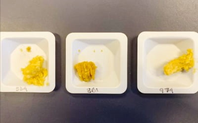 [과학과 놀자] 우주에서 발효시킨 된장이 더 맛있다?