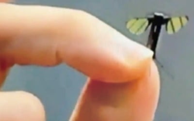 길이 2㎝·무게 0.3ｇ…中 '모기 드론' 개발