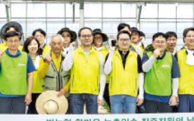 농협금융, '한마음 농촌일손 지원' 나서
