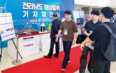 "풍력은 제2 조선업"…전남 30GW 단지 조성