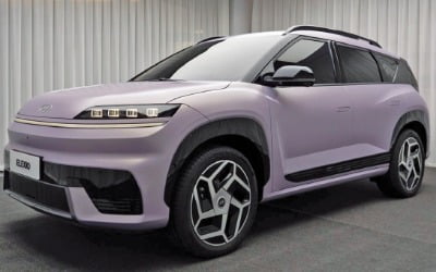 한국車 글로벌 현지화 전략의 명암