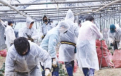 한국산업단지공단, 경북 산불 피해지역 복구 나서