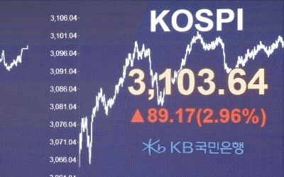 '한두 번 속나?' 국장 못 믿겠다더니…속 새까맣게 타는 개미들