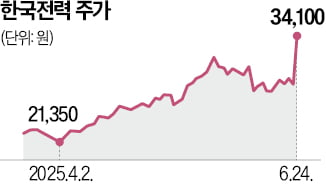 전기요금 동결에도…한전, 하루만에 20% 급등